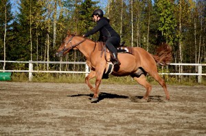 2015sept_Åbyn_barrelRacing_Linda