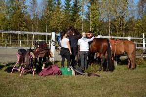 2015sept_Åbyn_sadelprovning