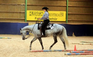 MoaAndHorse